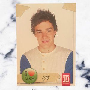Official One Direction Trading Card Liam Payne #53